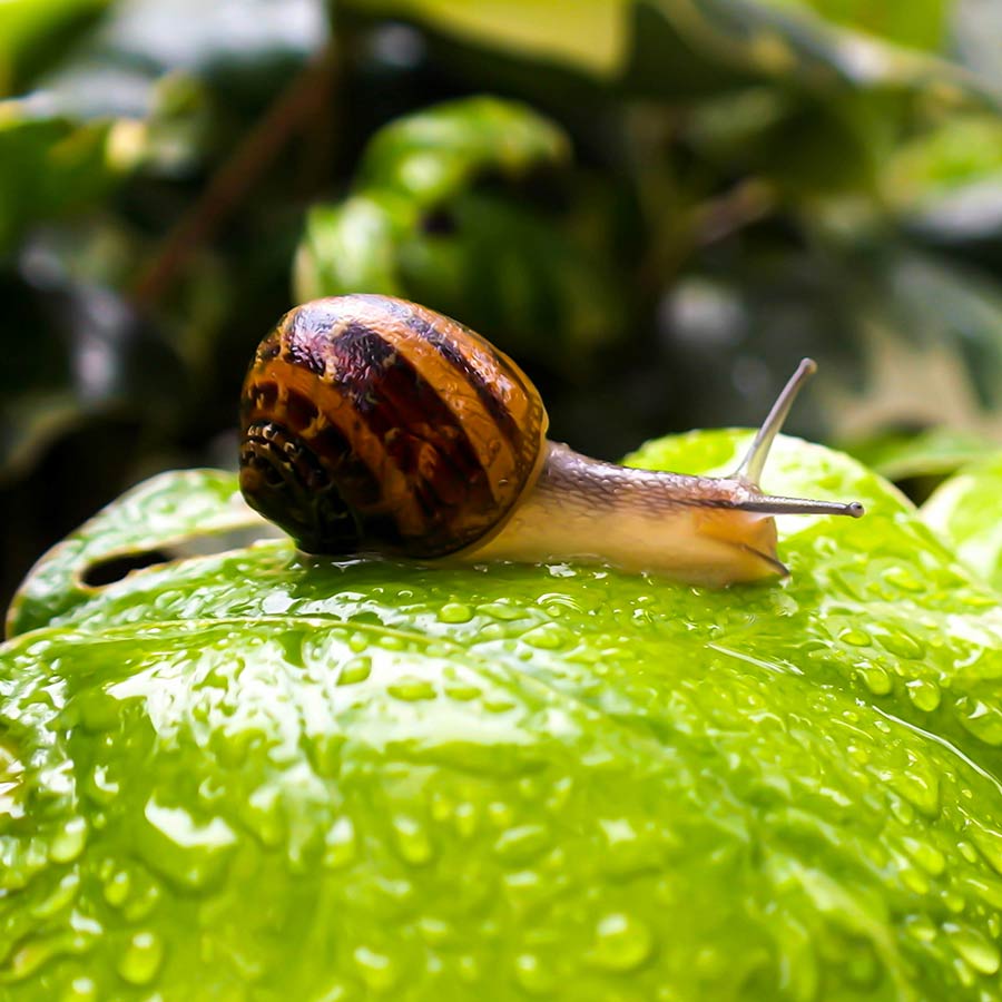 beautiful-img5-900x900